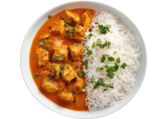 Chicken curry and white rice on a white plate, with green garnish