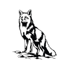 Obraz premium Fox Vector Illustration, Wild Fox Standing Black and White Line Art