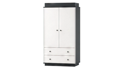 Modern Wardrobe with Two Doors and Two Drawers