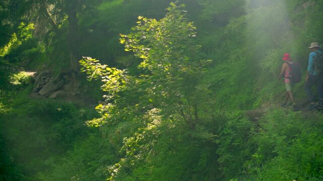 Two Trekkers in Dense Forest Near Kheerganga Campsite, Parvati Valley, Dhauladhar Range, Himachal Pradesh, India