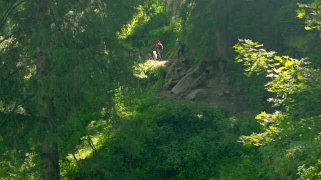 Two Trekkers in Dense Forest Near Kheerganga Campsite, Parvati Valley, Dhauladhar Range, Himachal Pradesh, India