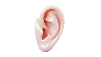 3D Render of a Human Ear