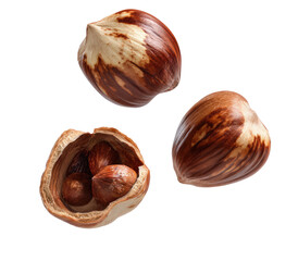 Three hazelnuts; one cracked open, isolated on black