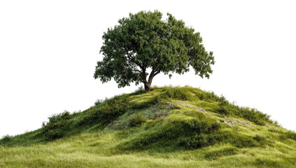 Solitary tree on grassy hill, isolated on a black background