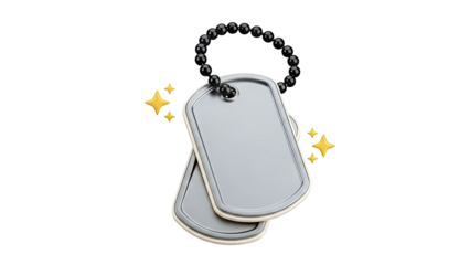 Two blank silver dog tags with black beaded chain and gold stars