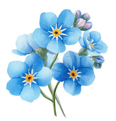 Naklejka premium Delicate watercolor bouquet of blue forget-me-nots with yellow centers