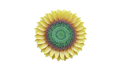 Stylized Sunflower with Green Spiral Center