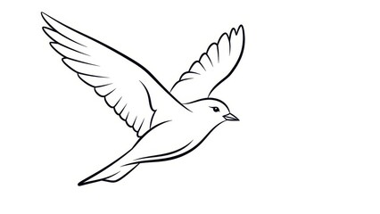 Obraz premium Stylized black and white sketch of a bird in flight embodying freedom and grace