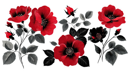 Red flowers, dark leaves, and black background bouquet image