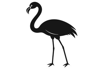 Obraz premium vector illustration of a flamingo