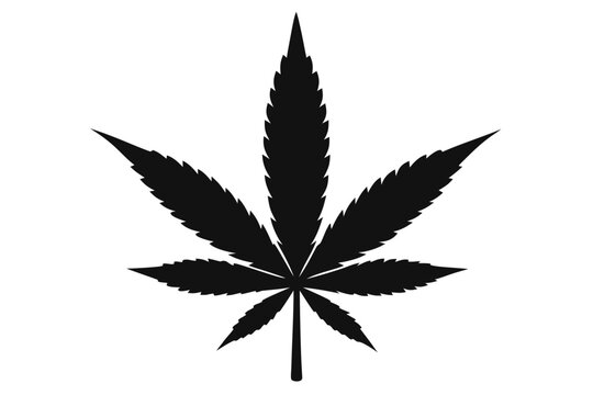 cannabis leaf vector illustration, cannabis leaf icon