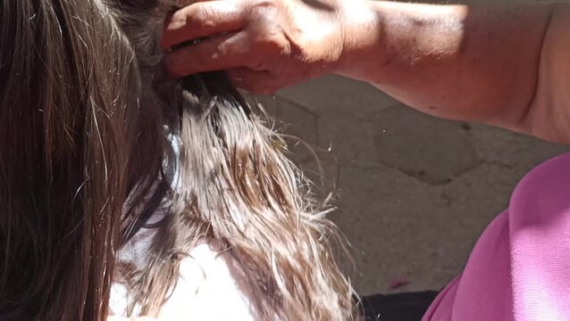 Mother Checking Daughter's Hair for Head Lice and Removing Nits Manually