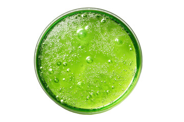 Petri dish with bubbling, bright green liquid