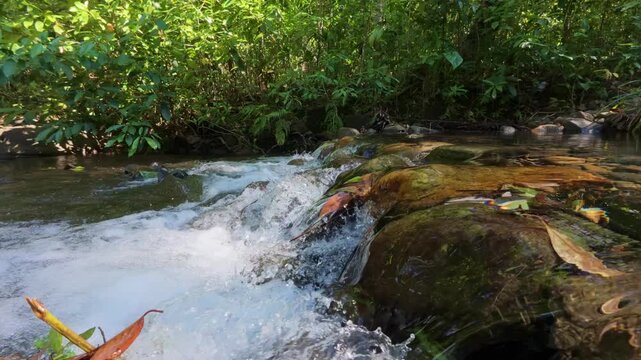 Medium static shot of flowing water along Mt Guiting Guiting trail in tropical forest