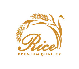 Thai rice ear icon, premium quality food sign. Natural cereal products organic farm vector emblem, healthy food shop sign. Farmer market symbol with ear grain and leaves, handwritten typography