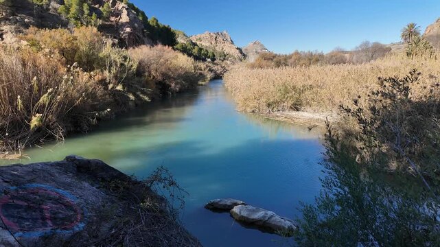 The Segura River with abundant water and vegetation on the banks on a sunny day