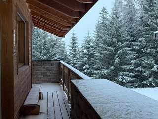 Balcon sur la for&ecirc;t