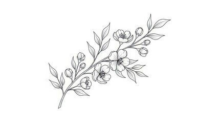 Fototapeta premium Elegant floral illustration showcasing delicate blossoms and intricate leaf details, perfect for