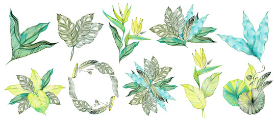Collection of watercolor tropical leaves in green, teal and yellow tones. Versatile botanical set ideal for branding, invitations, packaging, stickers, patterns and creative design projects. © Natali_Mias