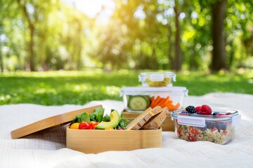 Delicious outdoor picnic setup with healthy food in containers
