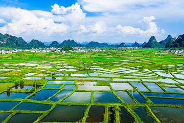 Beautiful green rice fields and village with karst mountain natural landscape in Guilin, China.