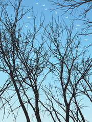 Spring has come. The trees are bare, the birds have returned. Vector illustration.