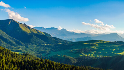 Green grasslands and forest with mountain natural landscapes in summer. Beautiful pasture scenery in Xinjiang.