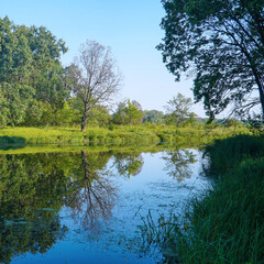 A small river or lake with blue water and a green forest on the shore under a blue sky. Summer landscape