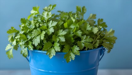 I protagonisti della cucina mediterranea italiana: Prezzemolo