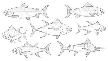 Detailed line art compilation showcasing diverse fish species from the ocean depths and rivers