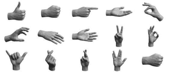 Collection of 15 Diverse Hand Gestures and Poses Isolated on White Background