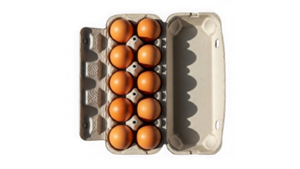 Top view of ten brown eggs in an open gray carton under natural light, isolated on transparent background