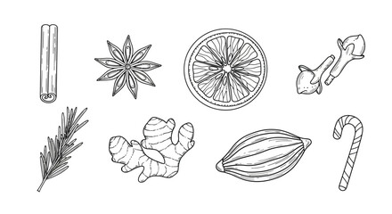 Assorted spices and sweets Vector