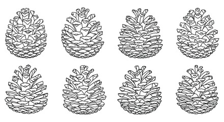 Collection of pine cones in black and white Vector