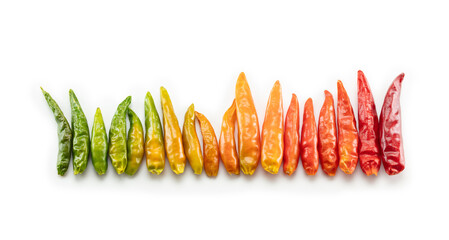 Spicy and hot scale concept. Early harvested peppers in various colors aligned in gradating ripeness. Isolated on white.