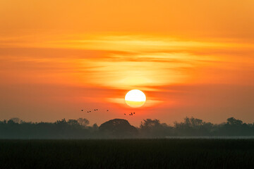 Beautiful sunrise in the early morning with flocks of birds soaring above a colorful sky.