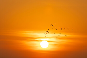 A beautiful sunrise with flocks of birds soaring in the sky.