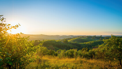 Obraz premium Sunlit rolling hill landscape with green trees and golden grass at sunrise