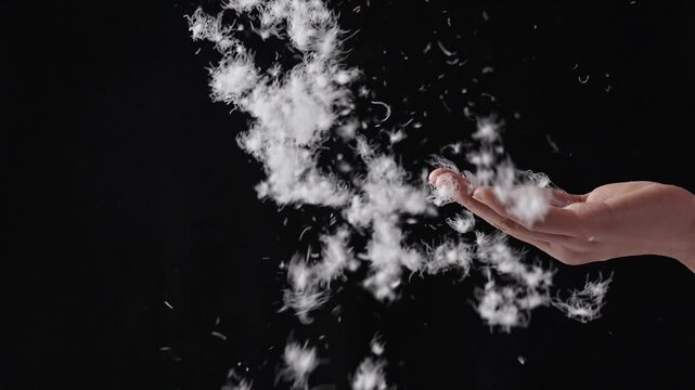 closeup of down feather flying on hand on black background