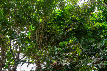 Pile of gray crushed stone gravel construction material on grass