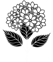 Hortensia flowers vector line art icon white and black