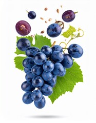 Fresh and Juicy Blue Grapes with Green Leaves and Seeds Isolated on White Background.