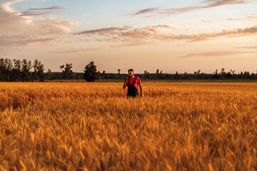 A rural man farmer in wheat field at sunset