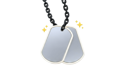 Two Silver Dog Tags on a Black Chain with Sparkle Accents