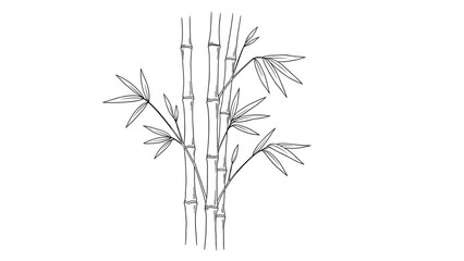 Fototapeta premium Elegant bamboo line art design with minimalist black and white theme
