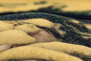 Foamy yellow sea foam covering dark water with small bubbles, moody coastal texture and abstract seaside pattern