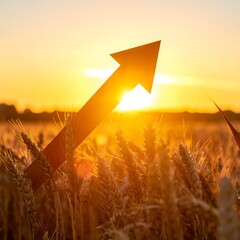 A large, upward-pointing arrow overlays a field of wheat backlit by the setting sun, symbolizing growth