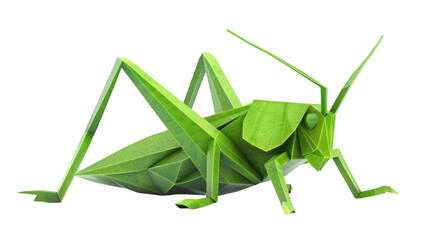Green grasshopper in a natural pose isolated on a white background