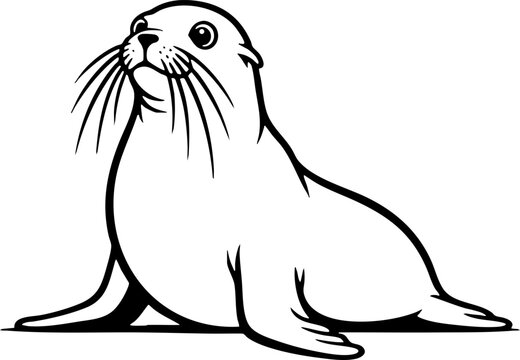 Simple Black and White Seal Marine Animal Illustration