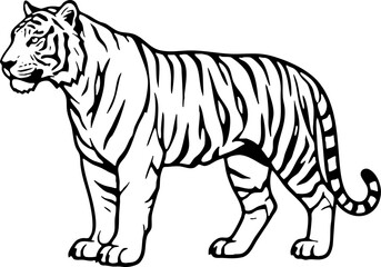 Fototapeta premium Black and White Tiger Standing Line Art Illustration